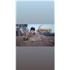 Image 4 : 4 Buddy Hunting package - Sabudawn Safaris