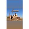 Image 5 : 4 Buddy Hunting package - Sabudawn Safaris