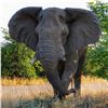 Image 4 : Photograpic African Explorer - For 1 Couple - Sadaka Safaris