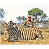 Image 4 : 7 Nights, 4 trophy animals+ day excursion @ the World Famous Sun City resort and casino - El Roi Saf