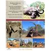 Image 1 : Traditional African Hospitality on a 8-day South Africa Safari for 2 hunters 2x1 and 2 Non-Hunters -