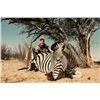 Image 17 : 10 day African Safari with Stanley Pieterse Safaris - Stanley Pieterse Safaris