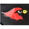 Image 1 : ST LOUIS CARDINALS WALL PLAQUE