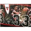 Image 2 : LTD. EDITION MICHAEL JORDAN AND SCOTT PIPPEN SIGNED JERSEY NUMBER SHADOW BOX DISPLAY 59/72 (UD COA)