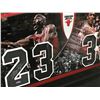 Image 3 : LTD. EDITION MICHAEL JORDAN AND SCOTT PIPPEN SIGNED JERSEY NUMBER SHADOW BOX DISPLAY 59/72 (UD COA)