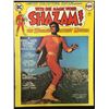 Image 1 : DC COMICS SHAZAM