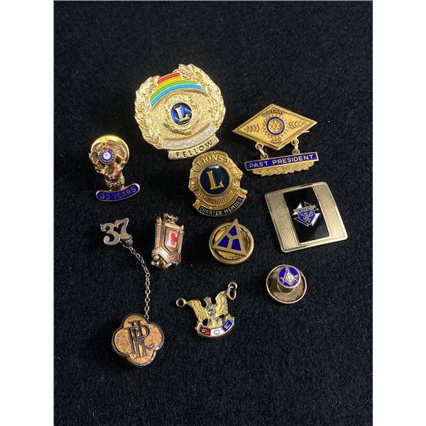 10 Vintage (Most Enamelled) Pins - Lions, Masonic & More