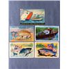 Image 1 : 1930's-40's-50's Comical Big Fish Postcards