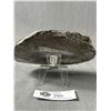 Image 2 : 6" x 4" Orthoceras Fossil MSRP $800.00