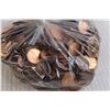Image 3 : Bag of Pennies