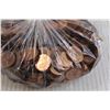Image 4 : Bag of Pennies