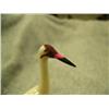 Image 2 : 4.5" white ivory whooping crane by Charlie Kokuluk carved from single piece of ivory (2)