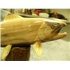 Image 5 : Outstanding 8" king salmon carved from fossilized ivory by Michael Scott (2)