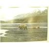 Image 2 : Double matted an framed print Stephen Lyman 1987 528/1000 "New Territory" 22"x35" (134)