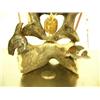 Image 5 : Vertebrae sculpture with King Island mask and hunters 11" tall #571F (2)