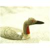 Image 2 : CHOICE On 5 birds by Al Mayac - Red throated loon (2)