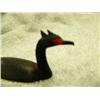 Image 2 : CHOICE on 5: 3.5" birds by Al Mayac - Red faced Cormorant (2)