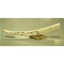 Walrus tusk scrimshawed with 30+ walrus, 3 surfacing whales, and 2 polar bears mounted on bone by Qa
