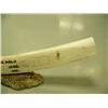 Image 4 : Walrus tusk scrimshawed with 30+ walrus, 3 surfacing whales, and 2 polar bears mounted on bone by Qa