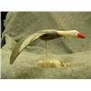 Image 3 : Carved ivory flying snow goose (blue phase) by C. Kokuluk - 2-1/4" tall, 4-1/8" from tail feathers t