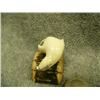 Image 2 : Carved ivory swimming seal mounted on fossilized ivory- 1-5/8" tall