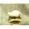 Image 3 : Carved ivory swimming seal mounted on fossilized ivory- 1-5/8" tall