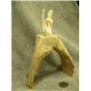 Image 3 : Carved ivory swan mounted on a jawbone- 7-3/4" tall