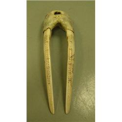 Walrus head mount cribbage board- scrimshawed with Eskimo whaling scene on one tusk and dogs pulling