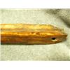 Image 4 : Fossilized ivory sled runner- 12" long (2)