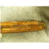 Image 7 : Fossilized ivory sled runner- 12" long (2)