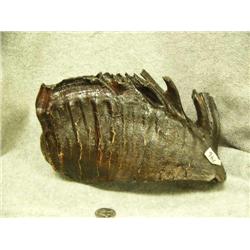 CHOICE on 2 lacquered mammoth teeth (86)