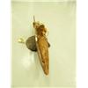 Image 2 : Soapstone kayaker/hunter mounted on bone- 12-1/2" long (2)