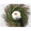 Image 1 : Grass wreath