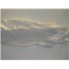Image 1 : White Night Out Dress