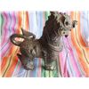 Image 2 : bronze foo dragon dog lion
