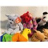 Image 3 : 10 TY beanie babies