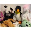 Image 4 : 10 TY beanie babies