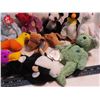 Image 5 : 10 TY beanie babies