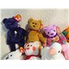 Image 2 : 10 TY beanie babies