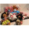 Image 1 : 12 TY beanie babies