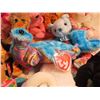 Image 3 : 12 TY beanie babies