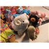 Image 5 : 12 TY beanie babies