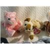 Image 3 : 11 TY beanie babies