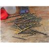 Image 4 : large lot of assorted drill bits
