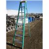 Image 1 : 8ft aluminum ladder