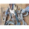Image 4 : two 25'  safety ropes and tie ins