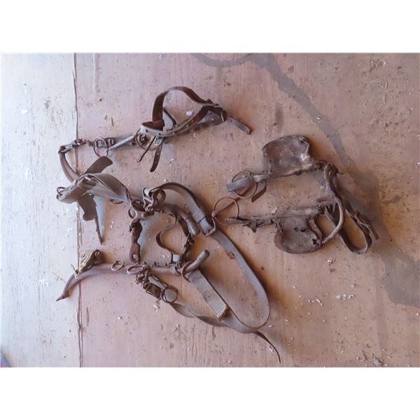 pair of hames , blinders strapping