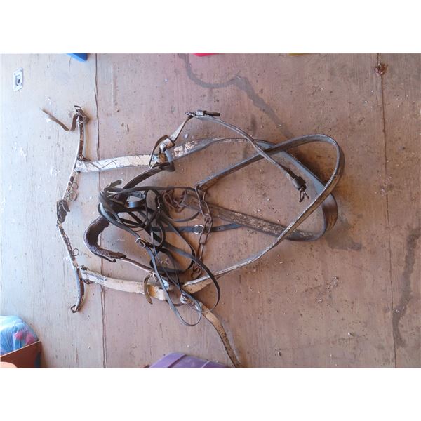 heavy horse harness matchers 352