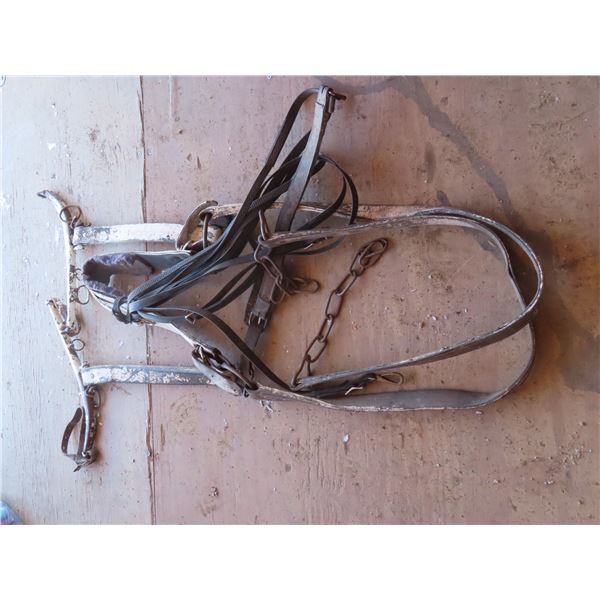 heavy horse harness matches 351