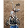 Image 3 : right handed clubs - cart assorted clubs